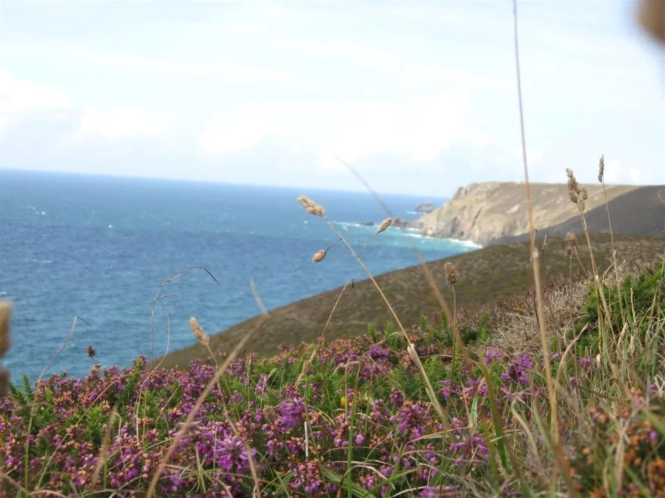Day 4 cliffs above chapel porth 